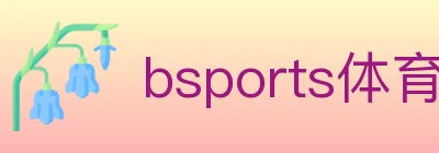 bsports体育 logo